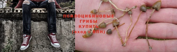 хмурый Алзамай
