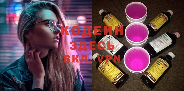 хмурый Алзамай