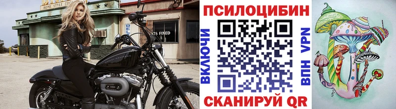 Псилоцибиновые грибы прущие грибы omg рабочий сайт Дмитриев