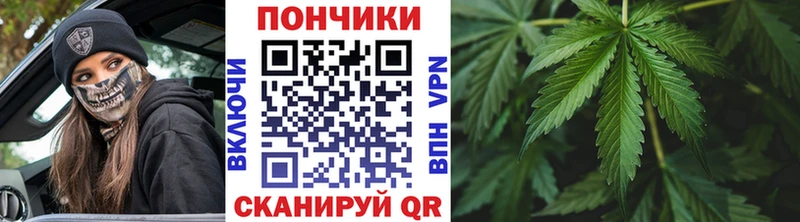 где найти наркотики  Дмитриев  Марихуана SATIVA & INDICA 